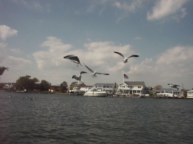 What fun!