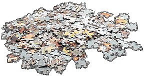 Puzzled?