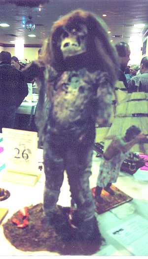 bc5_300x523