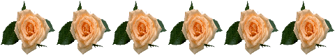 flwrrowbnr