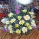 arrangment 8