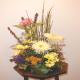 arrangment 16