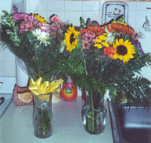 flowers 20