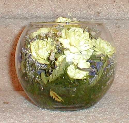 flowers_25_500x475