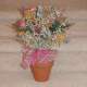 arrangment 25