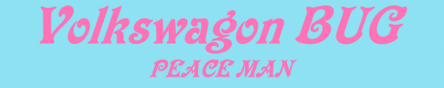 vwbnr_500x100
