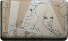 alice wall