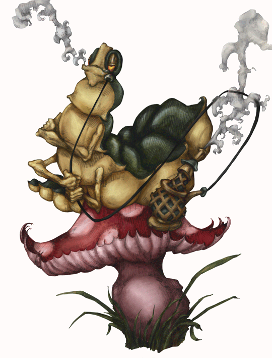 next illustration