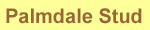 Palmdale Stud