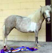 Palmdale Madison