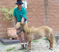 Palmdale Ole