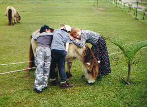 Kids having fun meeting the miniatures