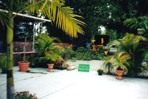Crystal Creek Nursery