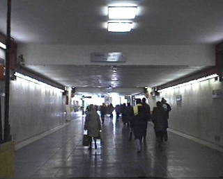 CAMPO LUNGO
(tratto dal cortometraggio'Le parole del silenzio')