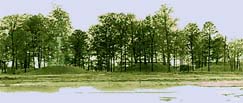 mounds