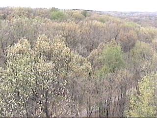 Ks062.JPG (21956 bytes)