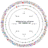 genome of H.sal