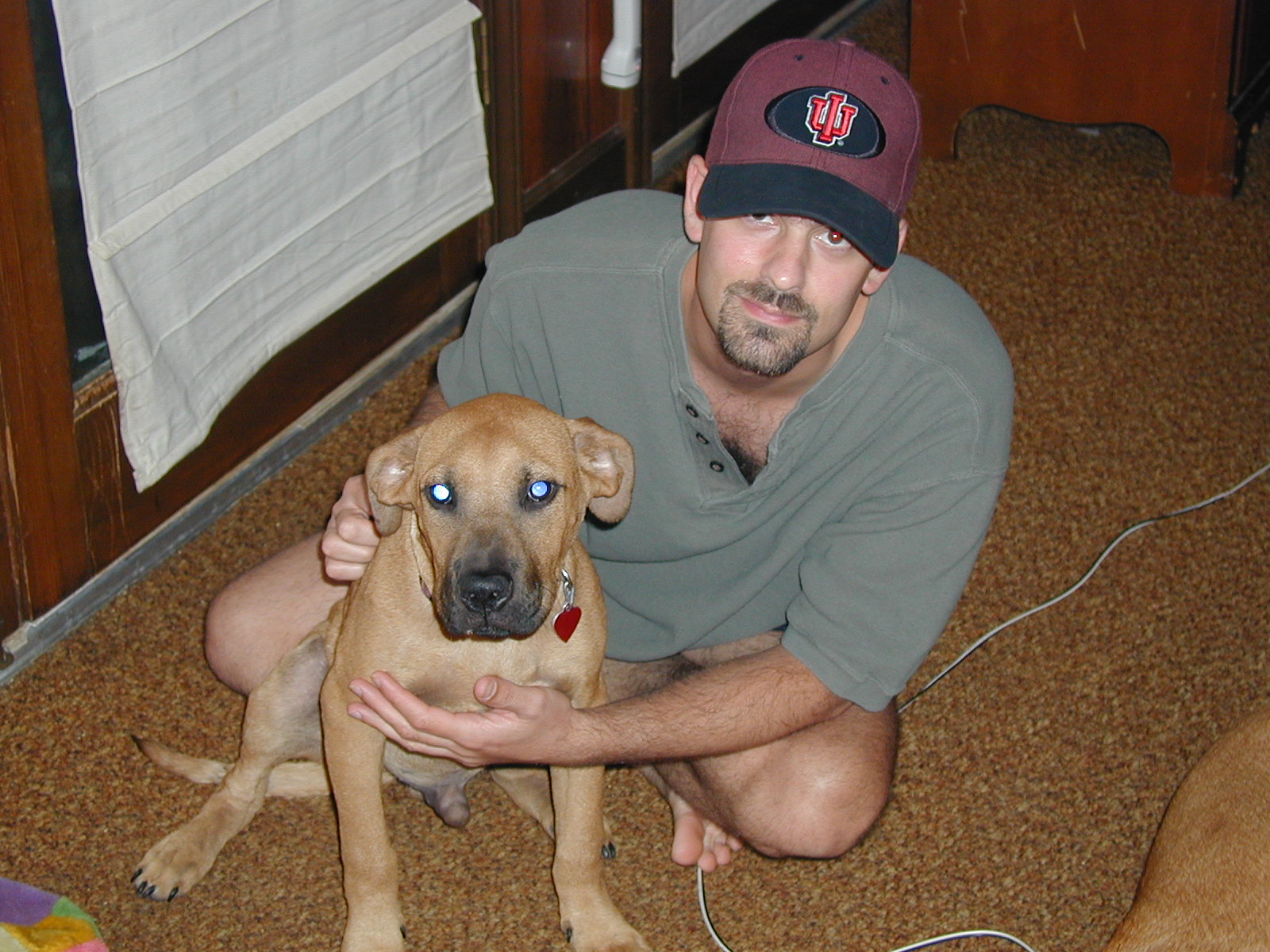 Picture of a Pet!