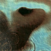 Meddle