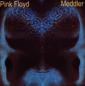 Meddler