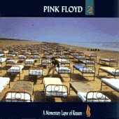 Momentary Lapse of Reason