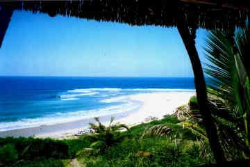 Bar View