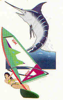 marlin