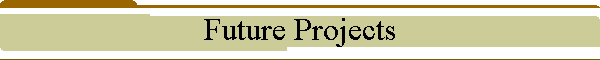 Future Projects