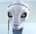Taun We