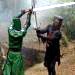 Black Knight vs Green Knight
