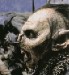 Orc