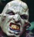 Orc