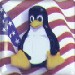 American Penguin