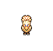 Chocobo