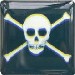 Skull Badge