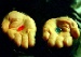 Red and Blue Pill