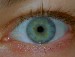Alice's Eye, opening shot