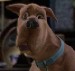 Scooby Doo