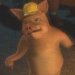 3 Little Pigs