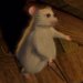 3 Blind Mice