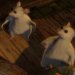 3 Blind Mice