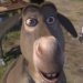 Donkey