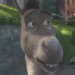 Donkey