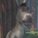 Donkey