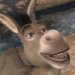 Donkey