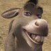 Donkey