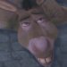 Donkey