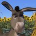 Donkey