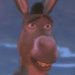 Donkey