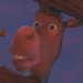 Donkey